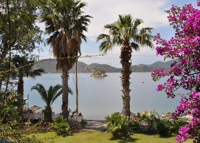 Begovina 셀리미예