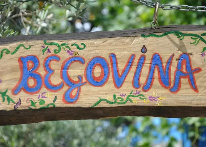 Begovina 셀리미예