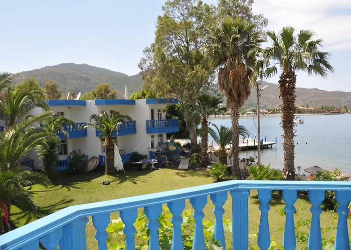 Begovina * السليمية